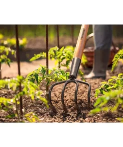 Husky 51 in. L Wood Handle 4-Tine Cultivator -Deals Hand Tools Zone Store husky cultivators 77815 944 1f 1000