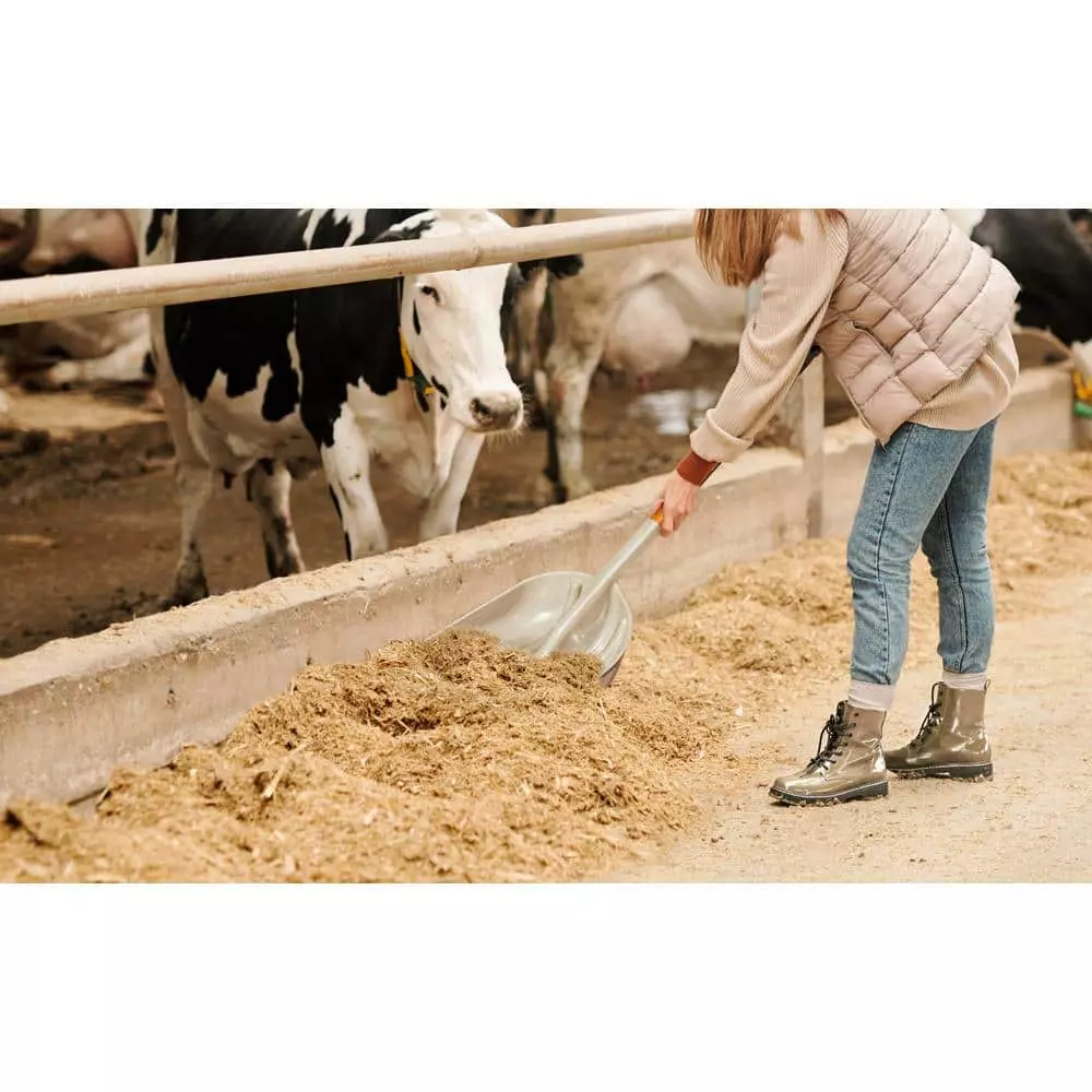 Husky 31 in. Wood Handle D-Grip Plastic Scoop Shovel 7 Husky 31 in. Wood Handle D-Grip Plastic Scoop Shovel - Image 5